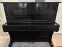 Forte  piano  ukraina  arginal