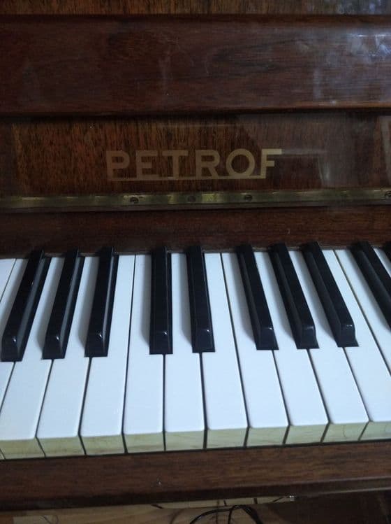 Фортепиано Petroff — 1