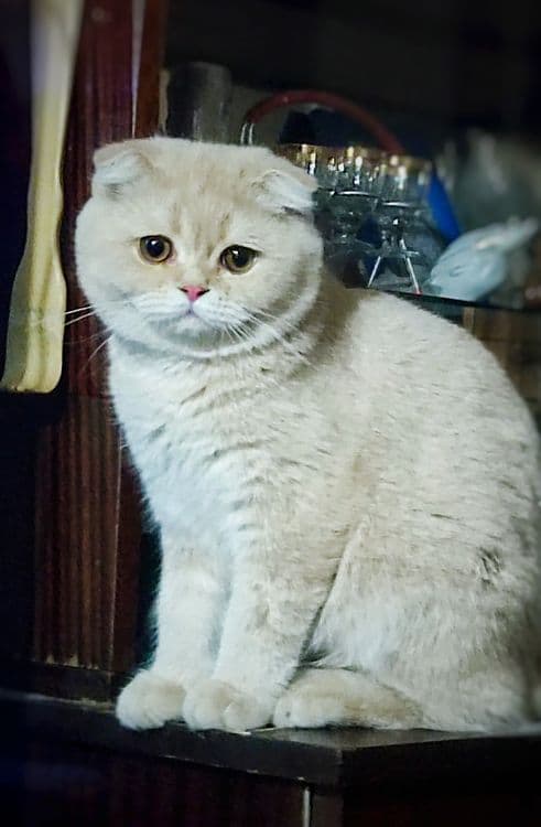 Приглашает на ВЯЗКУ — 2