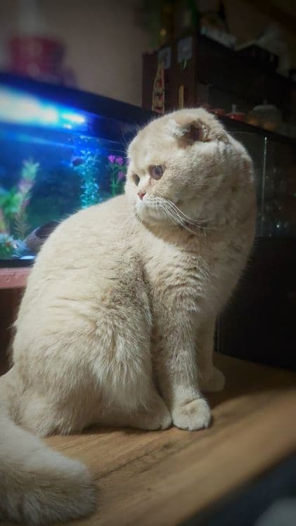 Приглашает на ВЯЗКУ — 3