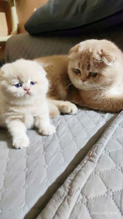 Приглашает на ВЯЗКУ — 4