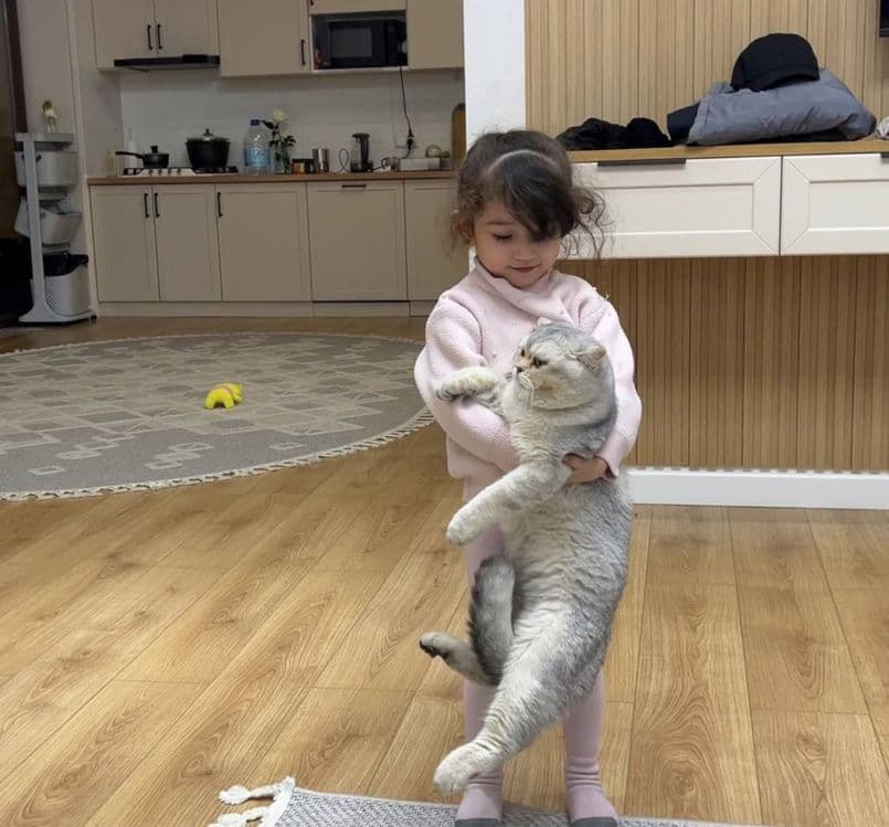 ВЯЗКА ! Киз мушукларни учрашувга ткалиф киламиз. ОПЫТНЫЙ КОТ — 4