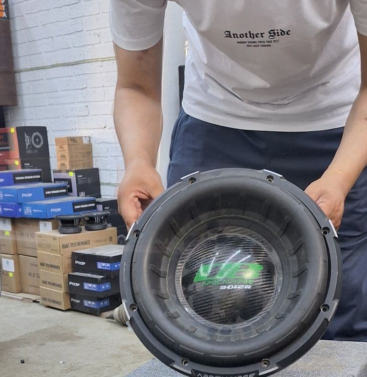 Subwoofer 3012R 2.800 rms 5.600 max — 3