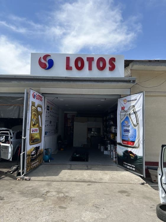 Shell Castrol Adinol Lotos Zic Kixx Lotos Avista Totachi Petravol Moy — 2
