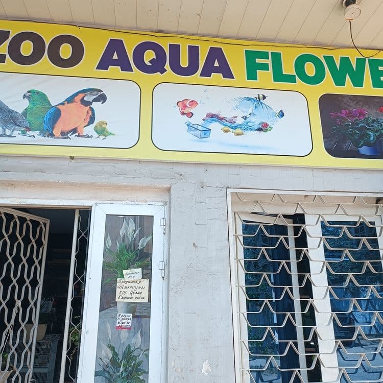 Продается готовый бизнес, действующий магазинчик ,Zoo Aqwa Flowers — 1