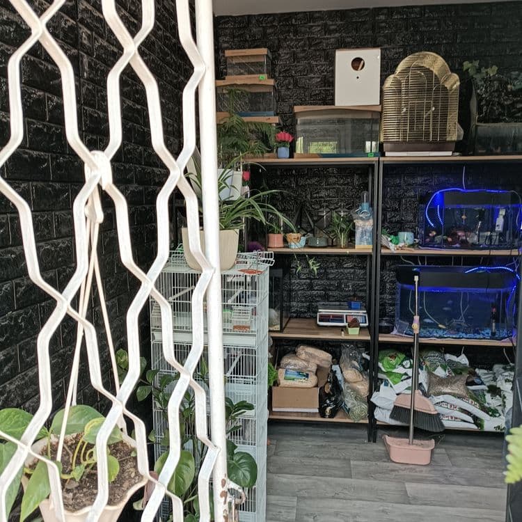 Продается готовый бизнес, действующий магазинчик ,Zoo Aqwa Flowers — 2