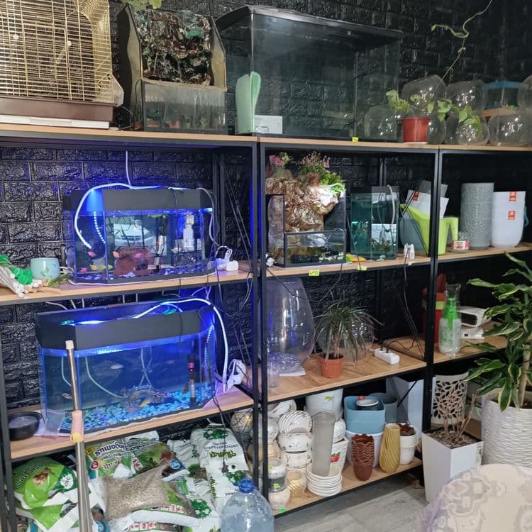 Продается готовый бизнес, действующий магазинчик ,Zoo Aqwa Flowers — 4