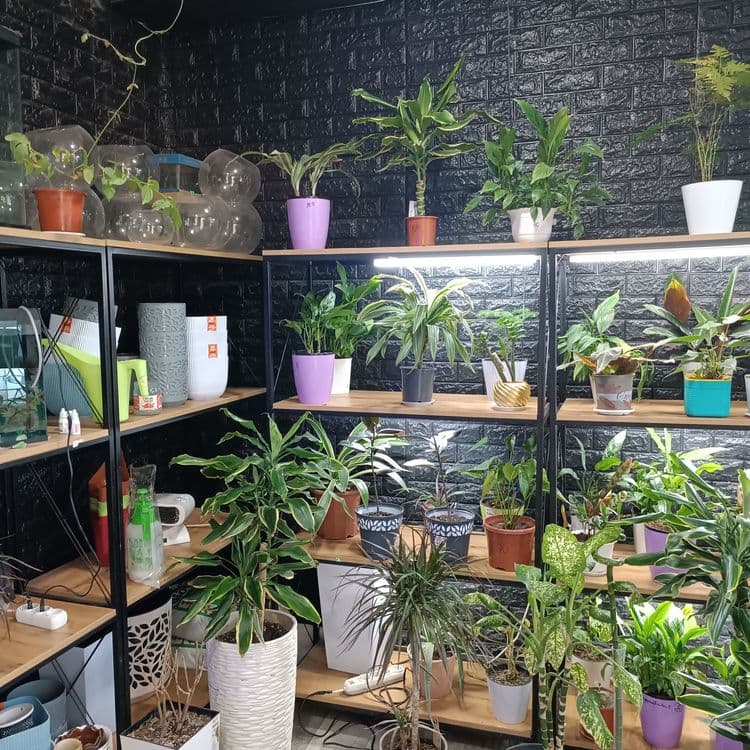 Продается готовый бизнес, действующий магазинчик ,Zoo Aqwa Flowers — 5