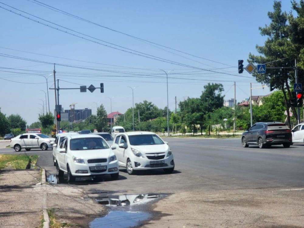 Таёр Бизнес озик овкот маркет хамамма нарсаси билан сотилади — 2