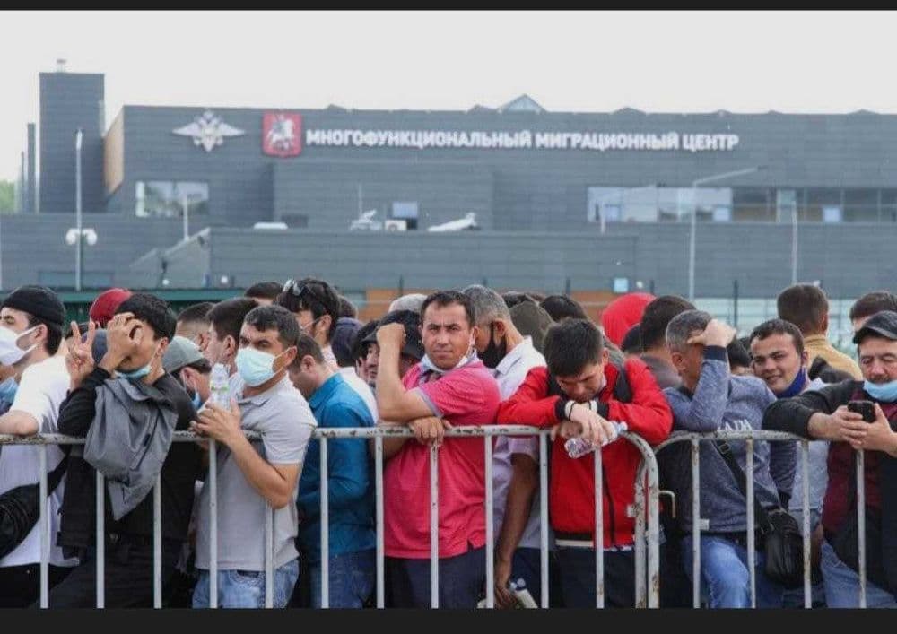 Chegara, migratsiya va vizalar bo‘yicha yuridik yordam – Advokat B.B.R — 1