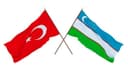 TURK, INGLIZ VA O‘ZBEK TILLARI Tarjimonlik xizmati