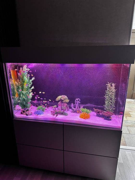 Zakas va Buyurtma asosida akvarium yasab beramiza — 4