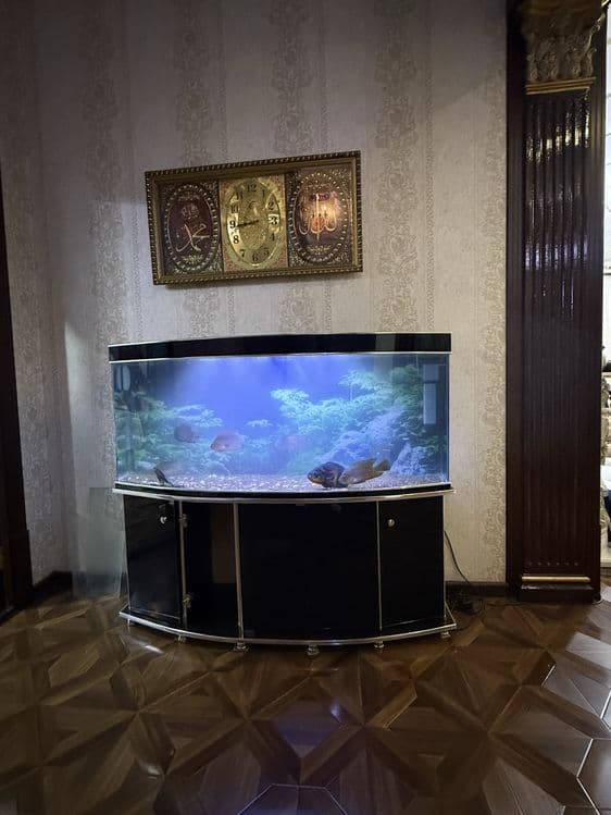 Обслуживание морских и прессных аквариумов,Чистка аквариумов — 6
