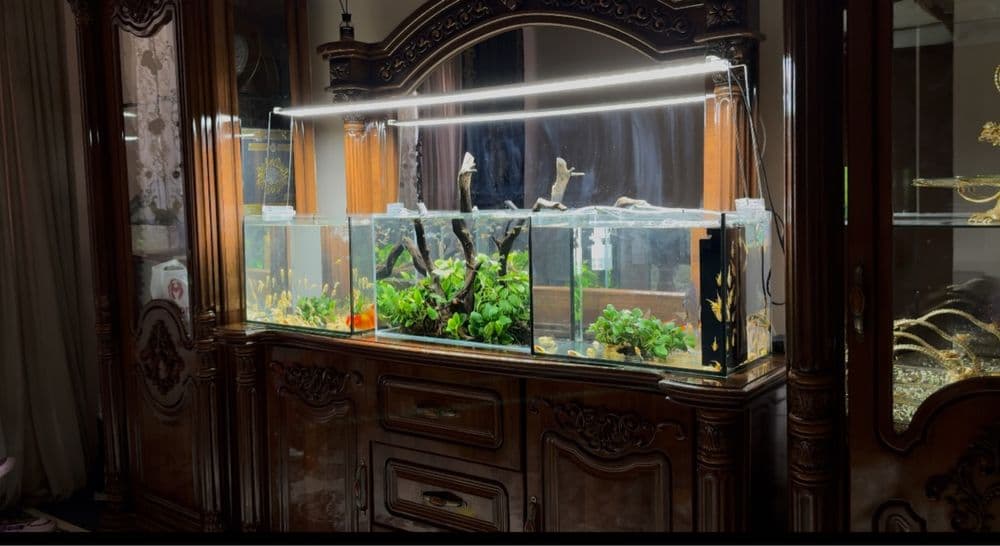 Professionall akvarium tozalash xizmati - Чистка аквариумов — 4