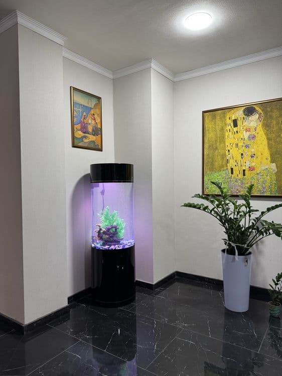 Professionall akvarium tozalash xizmati - Чистка аквариумов — 8