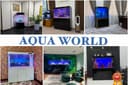 Professionall akvarium tozalash xizmati
