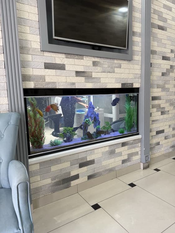 Professionall akvarium tozalash xizmati — 2