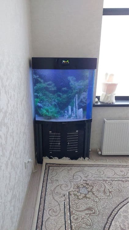 Professionall akvarium tozalash xizmati — 7