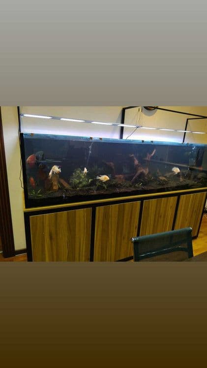 Профессиональная чистка аквариума AQUALlFE — 1
