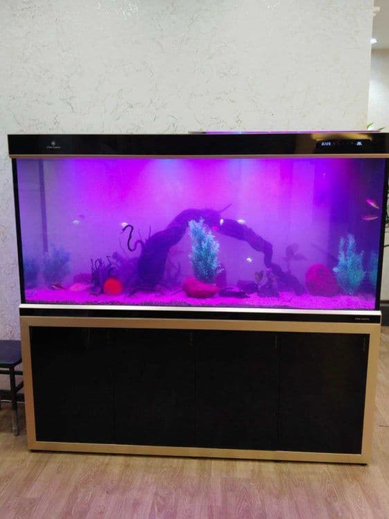 Профессиональная чистка аквариума AQUALlFE — 2