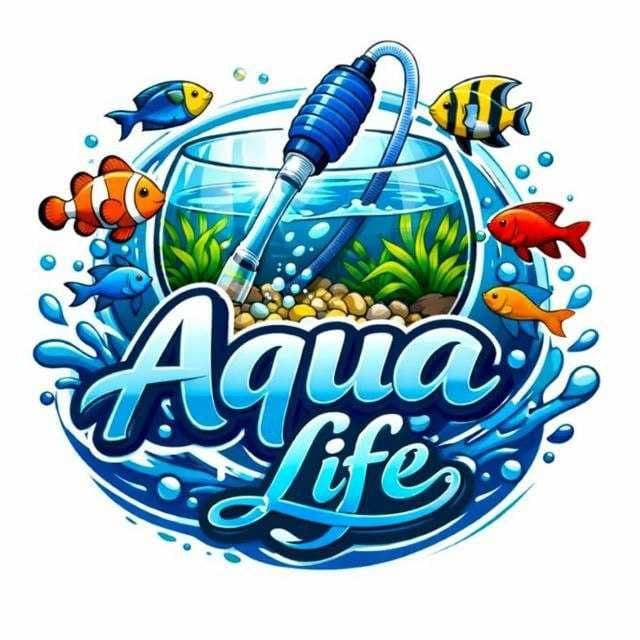 Профессиональная чистка аквариума AQUALlFE — 3