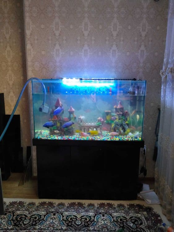 Профессиональная чистка аквариума AQUALlFE — 8