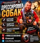 Дипломированный инструктор кинолог.