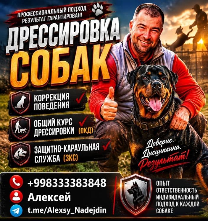 Дипломированный инструктор кинолог. — 1