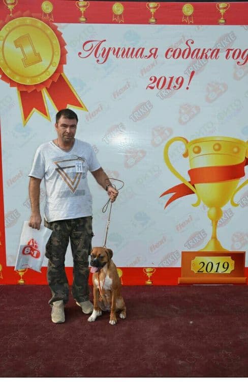 Дипломированный инструктор кинолог. — 3