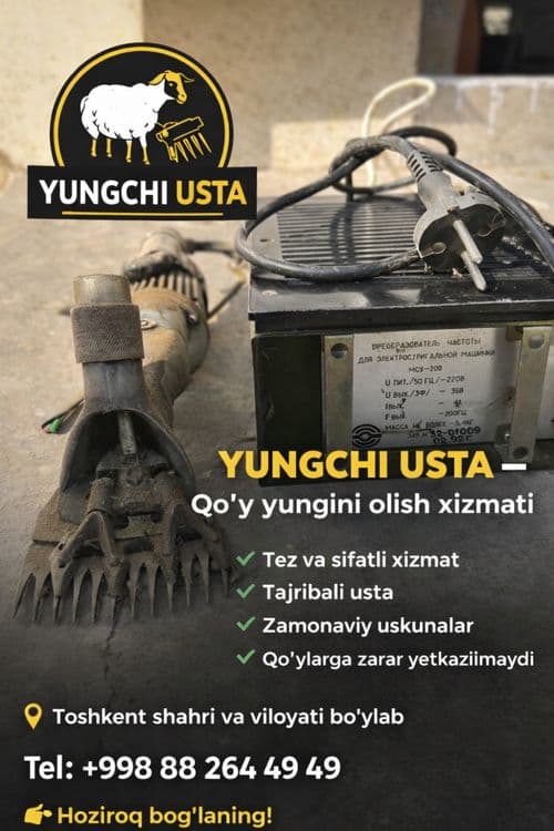 Qoʻy yungini olish xizmati narxlar kelishilgan xolqa — 2
