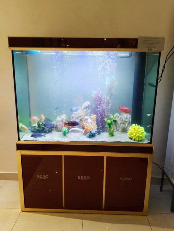 Профессиональная чистка аквариума AQUALIFE — 3