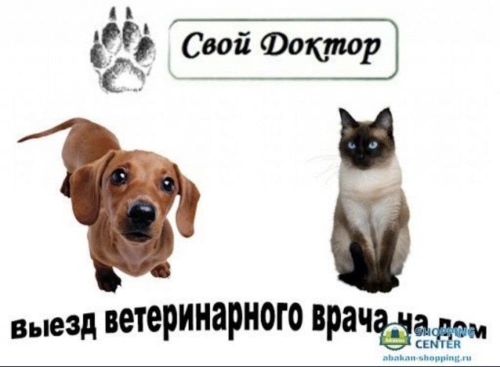 Ветеринар Яаккасарайский 24/7. круглосуточно — 3