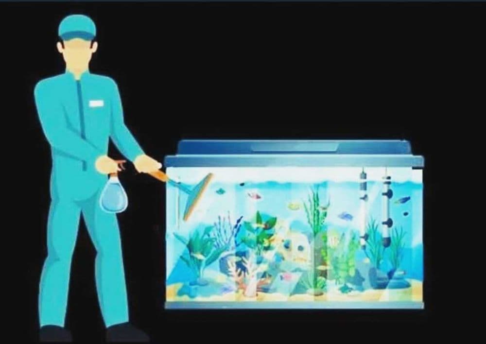Профессиональная чистка аквариума Aqua life — 3