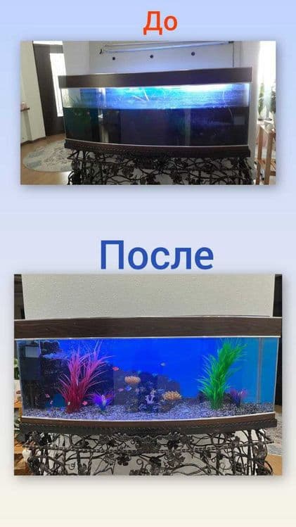 Профессиональная чистка аквариума Aqua life — 8