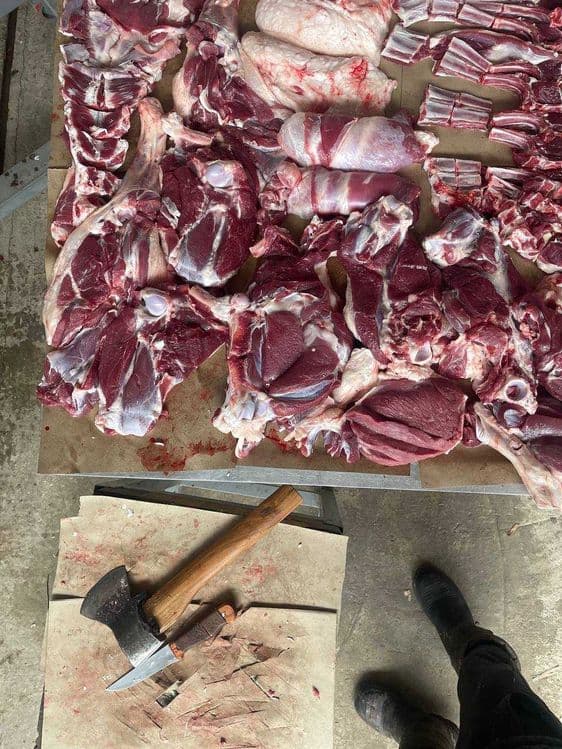 Profisional Qassoblik xizmati — 1