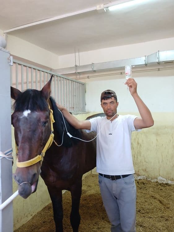 Kafolatli veterinariya xizmati — 8