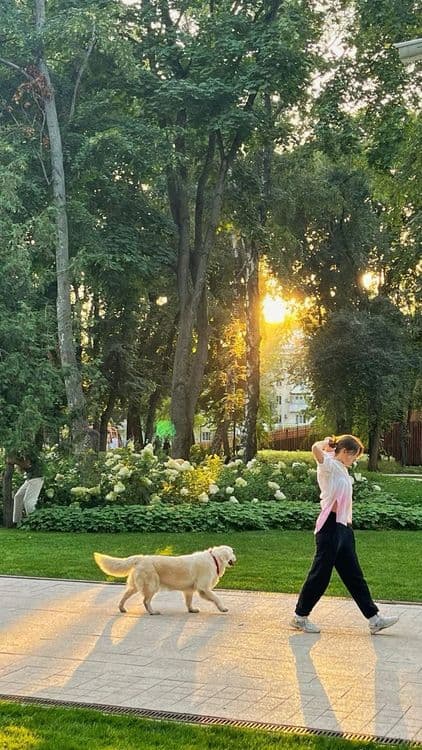 Выгульщик собак по Ташкенту — 3