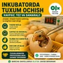 Inkubator ochtirish hizmati