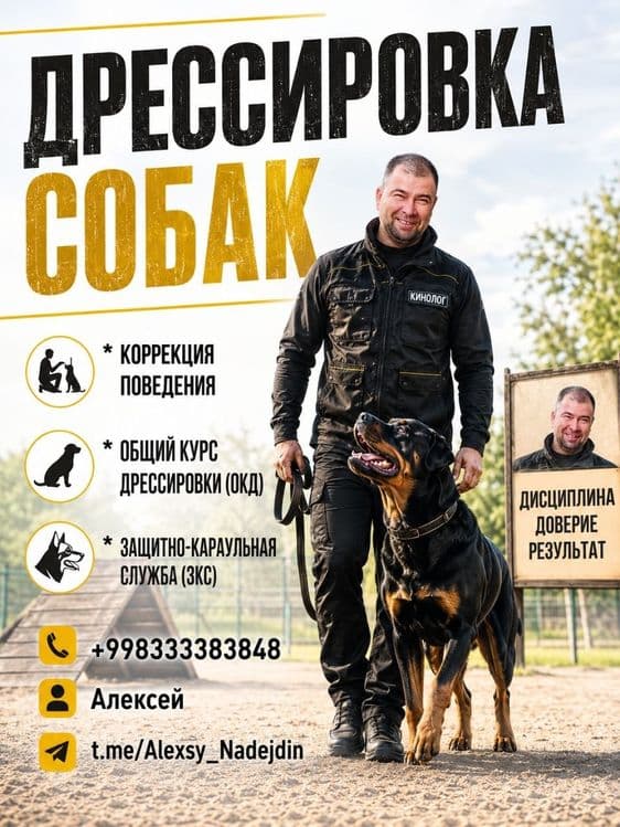 Кинолог профессионал. — 5
