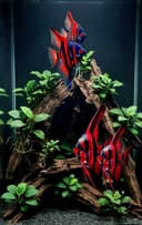 Профессиональная чистка аквариума AQUALIFE