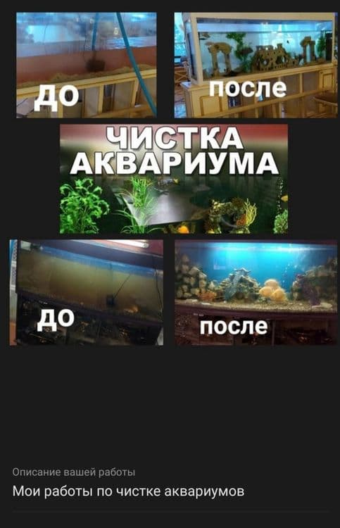 Чистка аквариума обслуживание аквариума качественно — 5