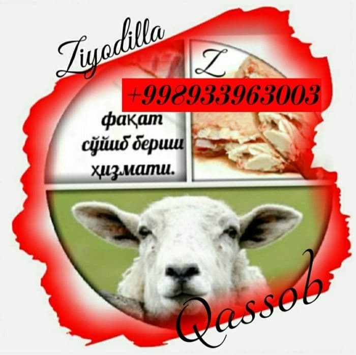 QASSOB Қассоб ҳизмати. — 1