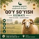 qassob xizmati 24/7