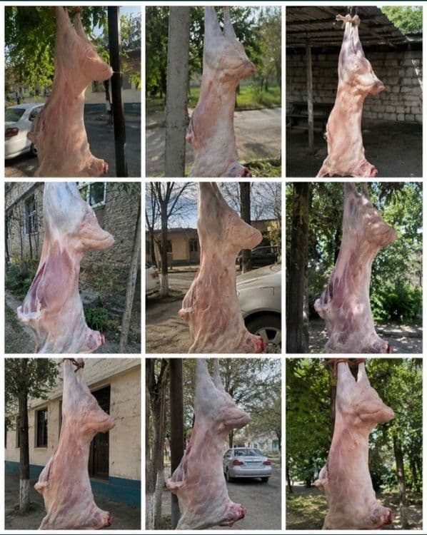 Quy suyish xizmati — 2