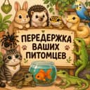 Передержка животных