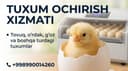 tuxum ochirish xizmati | inkubator xizmati | Услуга Инкубации