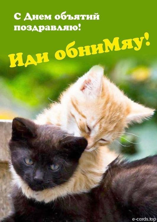 Гостинница передержка для Ваших питомцев любимчиков — 1