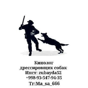 Кинолог дрессировщик собак — 1