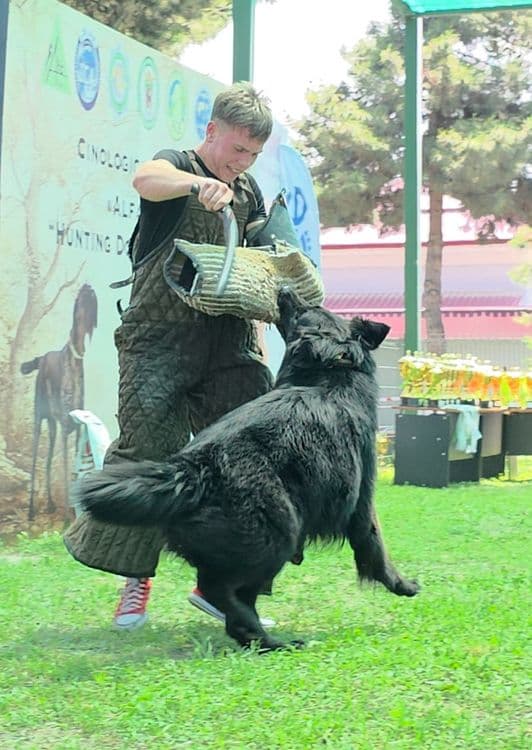 Кинолог дрессировщик собак — 3