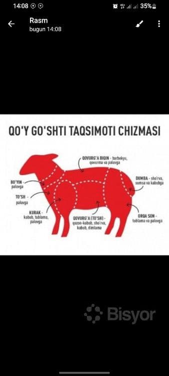 Qassob xizmati Toshkent shahri uchun.Faqat qo'y (qo'chqor) so'yamiz. — 1